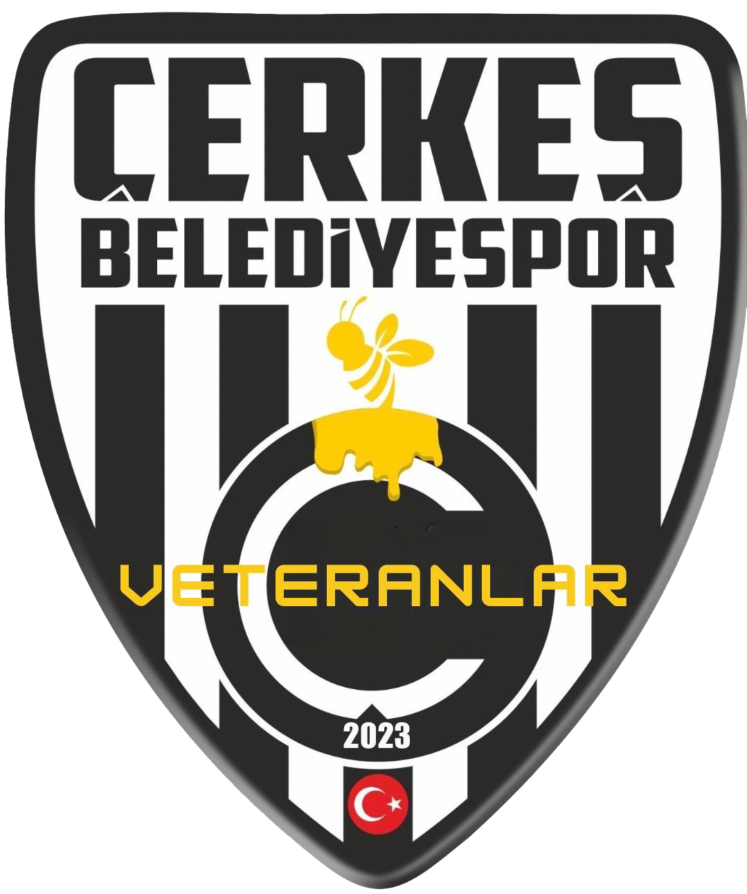 Çerkeş Belediye Spor
